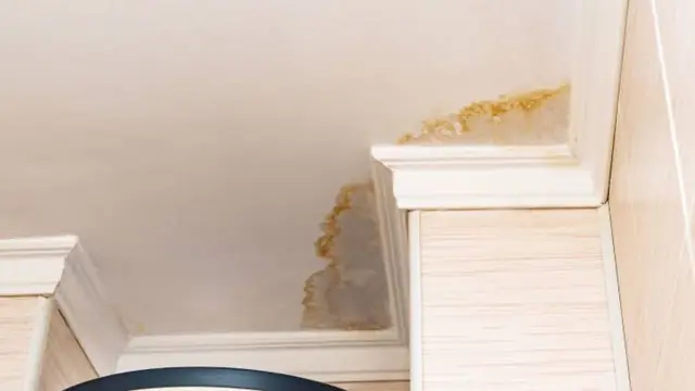Brown water stain on a ceiling near the crown molding