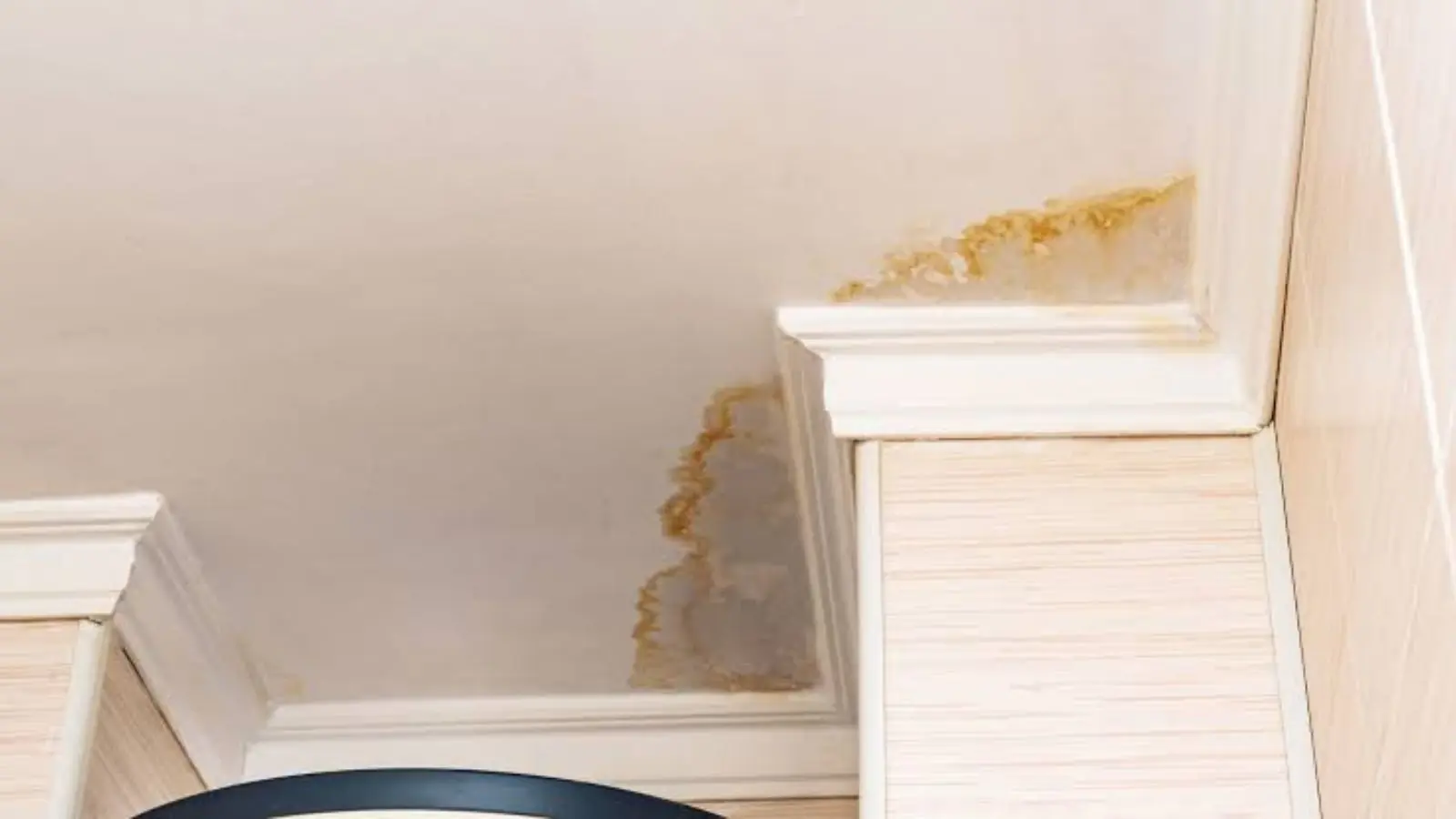 Brown water stain on a ceiling near the crown molding